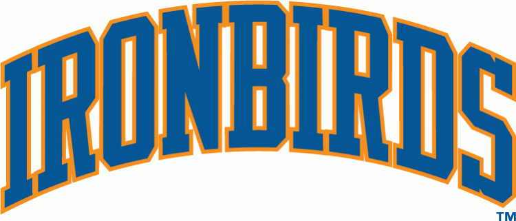 Aberdeen IronBirds 2010-2012 Wordmark Logo iron on paper